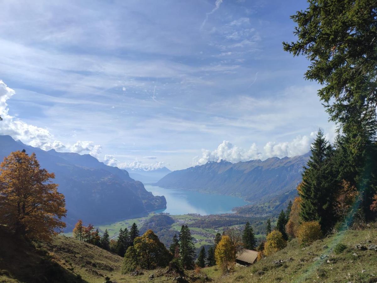 Kunst- Und Naturfreundehaus Bruenig Lungern Eksteriør billede