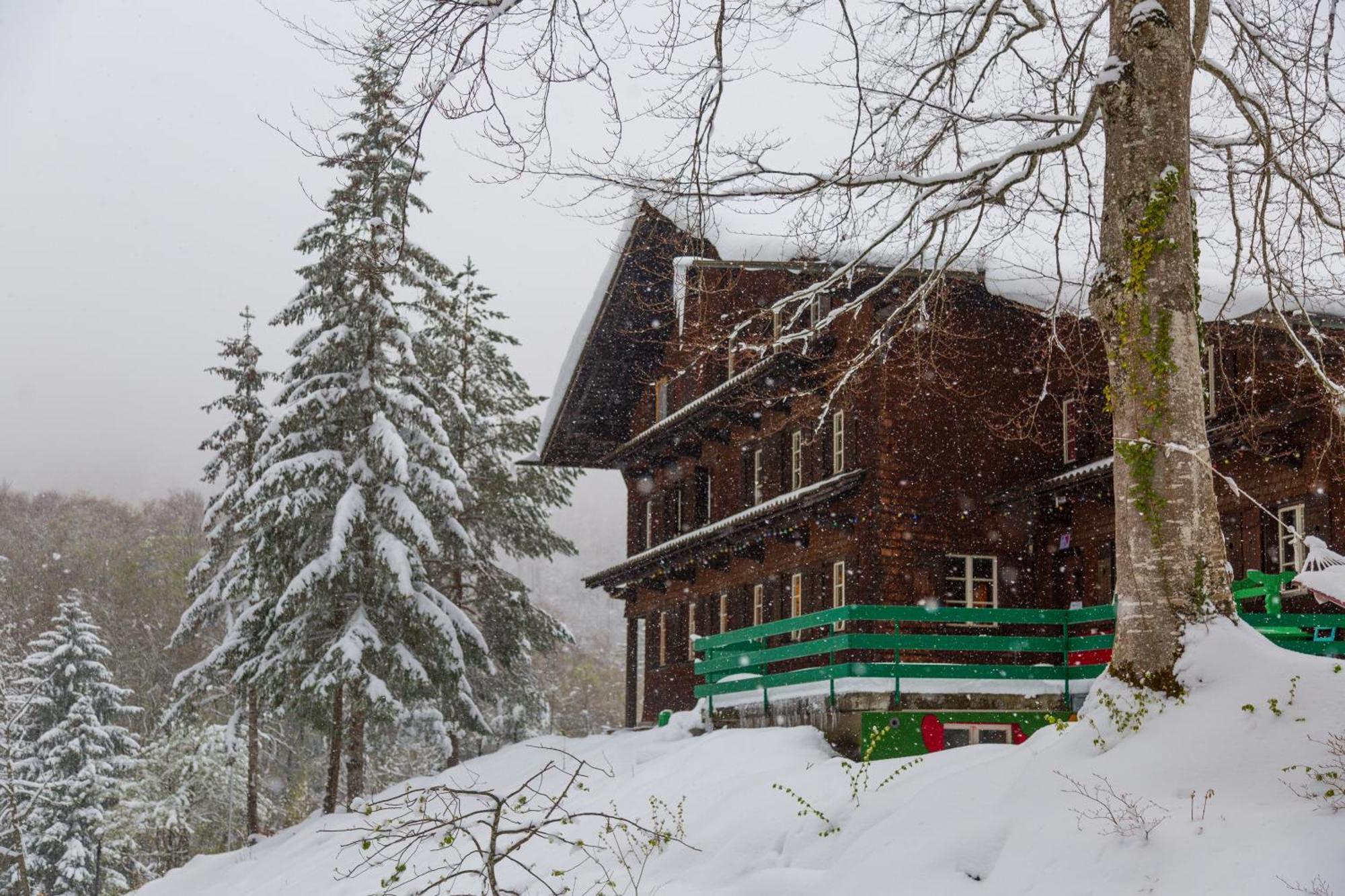Kunst- Und Naturfreundehaus Bruenig Lungern Eksteriør billede